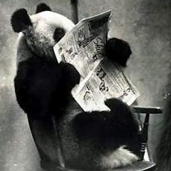 MowMrn's profile picture. 