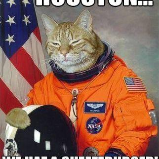 Proudly Supported By My Astrocats. Proudly Supporting Them Too.