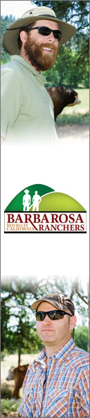 Barbarosa Ranchers is two red beard guys who grow local, sustainable grassfed beef and lamb, free range pork, and pasture poultry in CA.