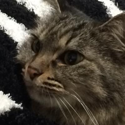 チマチマドラムなぞ叩いております。