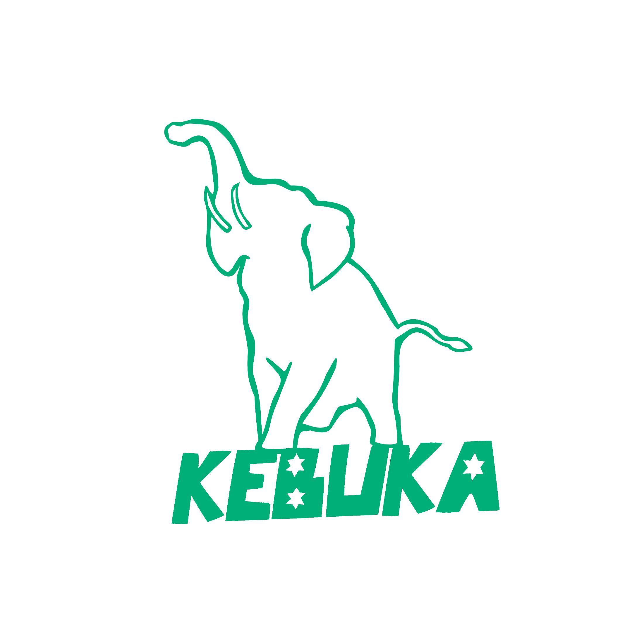 KebukaDotCom's profile picture. For the Urban African. Promotion, Public Relations, TV, and Radio