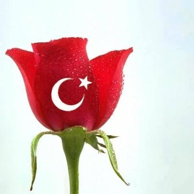 yaşamayı sever :)) bekar anne ;) DM okumaz ...
Sevdam ATAM
