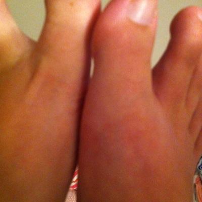 TheHolidayGuide's profile picture. 