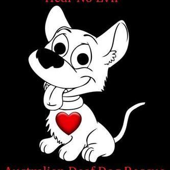 DeafDogRescueAU's profile picture. Australian Deaf Dog Rescue rescues, rehabilitates & rehomes deaf dogs (& cats) 🐾 Donate, Volunteer & Foster Today 🐾 We NEED your help!. Registered non-profit