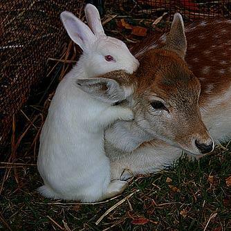 Love nature and beauty.