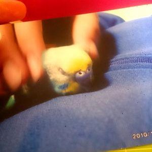 こばやしちひろ