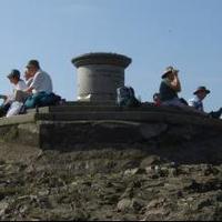 Malvern Beacon (@malvernbeacon) 's Twitter Profile