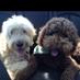Stillbe & Carter (@snotargi) Twitter profile photo Stillbe & Carter (@snotargi) Twitter profile photo