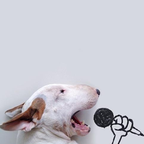 GrahamDay's profile picture. Dreams in photos. 100% my own views and words