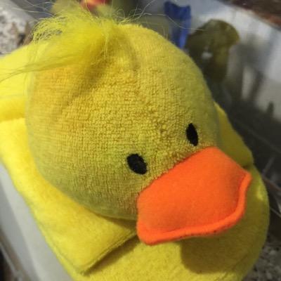 コナミ音ゲーエンジョイ勢香港プレーヤーです〜（ギター虹ネ、ドラム金ネ、弐寺7段、ホルテ暴龍天難民）（╹◡╹）スマホゲーム:雀魂(両方雀豪1 ゆっくり打ってます、ユニエアマスター帯維持中(推しメン:(もうはや箱推しです)金村美玖、山口陽世)、元アゲボーダークラスACE🙈