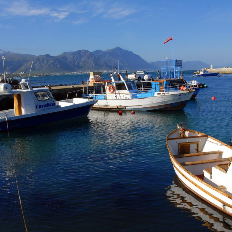 Community news and property information for the Overberg region
