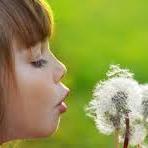 QPAC_Flanders's profile picture. Quality indicators for #palliative care, #implementation project | tweets by @leemanskathleen