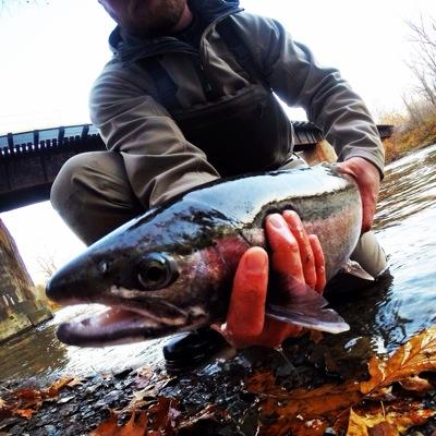 apptroutbum's profile picture. 