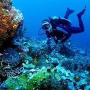 Marine Biology Geek !