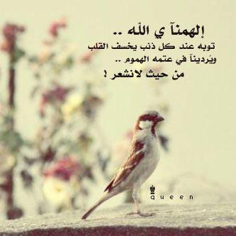 Reema11441's profile picture. 