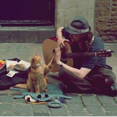 vibes_man_'s profile picture. 