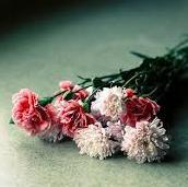 hendabdulwahab's profile picture. 