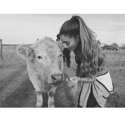 Ariana Grande fans And pictures