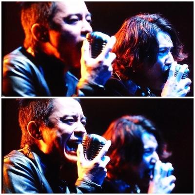 eight_eighter_s's profile picture. ‼️LINE繋がってた人探してます‼️♡97-98年やすば♡