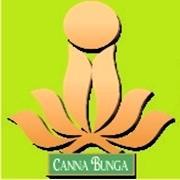 CANNABUNGA's profile picture. Beauty, Creativity & Harmony