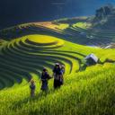 Martin Noel - @MartinNoel2 - Twitter