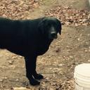 Max Weis - @maxweis11 - Twitter