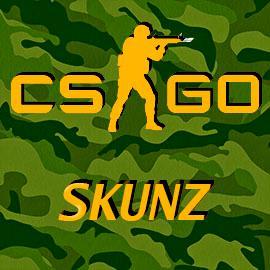 16.jugador de cs:go