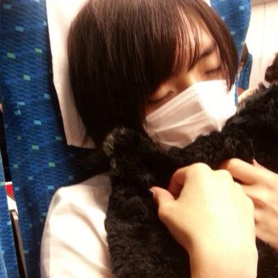 ちょこバイアー【浮上低下中】さんのプロフィール画像