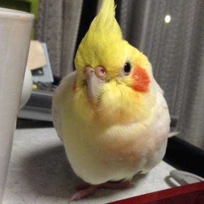 たる Mマスcd発売おめでとう Tarutoruta Twitter