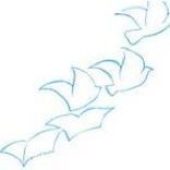 St Rose's NS (@rosesns) 's Twitter Profile