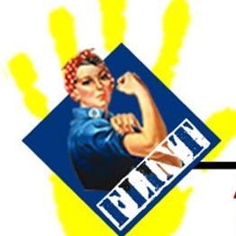 FlintVolunteers's profile picture. Our purpose is to assist non-profits, governmental agencies & educational institutions in leveraging national service resources, funding & partnership.