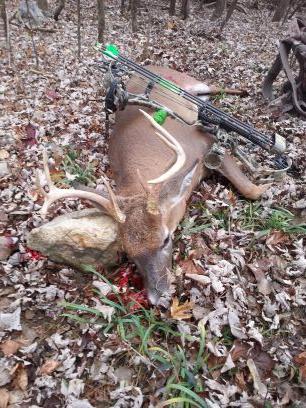 bkstone17263's profile picture. love to hunt & fish lift weights ,watch mma fights, play pool, bowling, colts football and pens hockey.