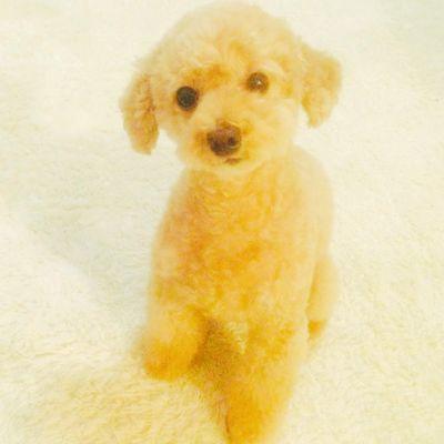 LDH❣️TAKAHIRO以下は息子・
GENE箱推・溺愛は片寄涼太・
TJBB箱推・TRIBEは見守る・ミュージカル・天海祐希は永遠・
推しごとは無理せず楽しく