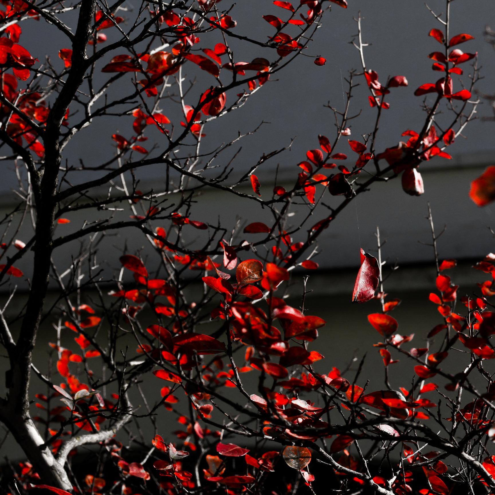 GustvMallr77's profile picture. 