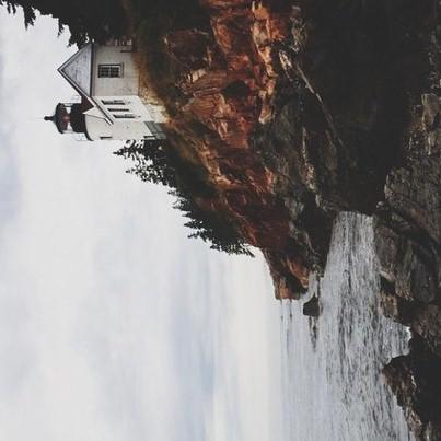 napana64's profile picture. 