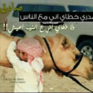 قبرا وضع به أبي أنره يا الله