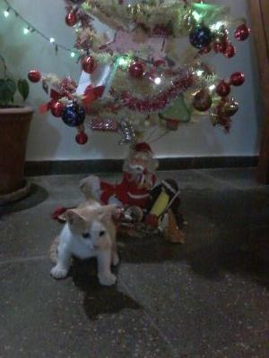 TestaiAgustina's profile picture. 