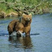 Life in the #Wild ....