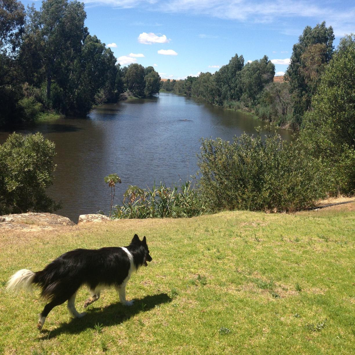 bridge_Tri's profile picture. An exciting new off-road triathlon up the west coast, 7th Nov 2015, introducing a river swim and a new concept race - the super sprint team relay!