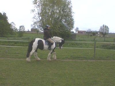 LauraRotty's profile picture. 