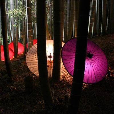 allen_120's profile picture. EOS kiss7 写真撮ってます。