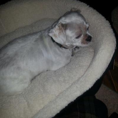 jan_60's profile picture. 