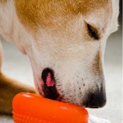 ltlu's profile picture. Lived and learned in the NYC. Then I made up my mind to make a new start, Going To California with an aching in my heart.