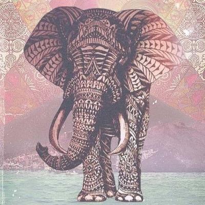 vichgh's profile picture. 