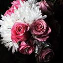م .١٩٩٩ (@00_almoz) Twitter