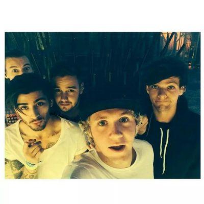 Hi Everyone! I'm Turkish DIRECTIONER and LOVATIC♥ #APEForever @NiallOfficial @Harry_Styles @Louis_Tomlinson @Real_Liam_Payne @zaynmalik ←They Are Mine