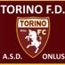 Torino FD (@torinofd) Twitter profile photo Torino FD (@torinofd) Twitter profile photo