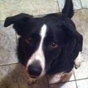 Imelda May - @Lady_Imelda_May - Twitter