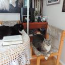 Dixie Graham - @katzmeow22 - Twitter