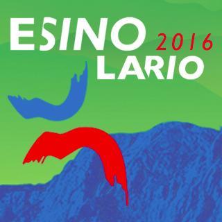 Official account of #Wikimania 2016 #EsinoLario